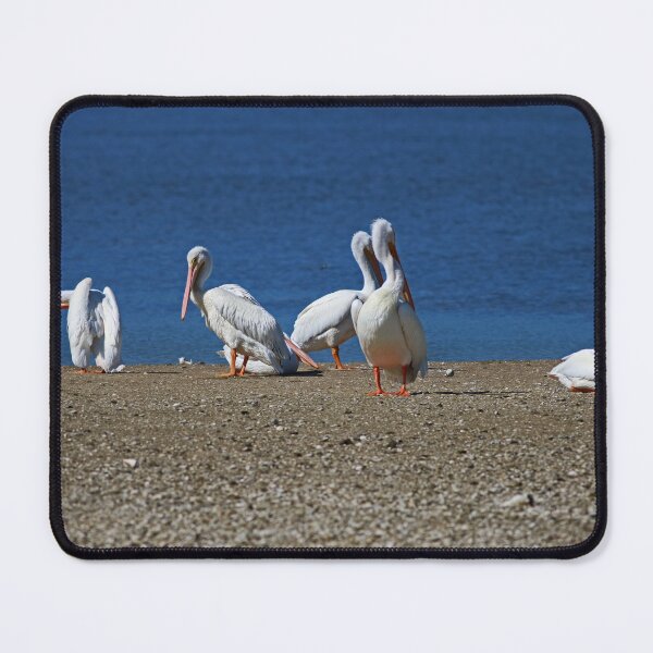 Item preview, We Are Being Ignored, Margaret  designed and sold by Michiale.