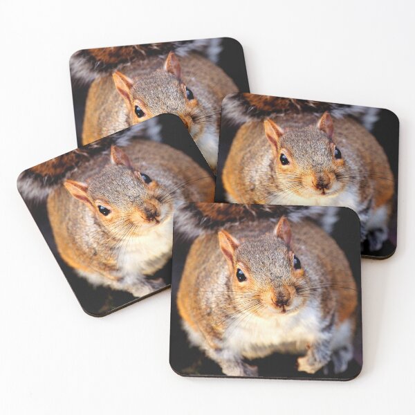 Item preview, ANIMALS #68 - Adorable Curious Squirrel designed and sold by DEL-Productions.