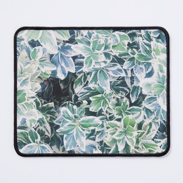Item preview, White green ivy leaves designed and sold by NelBo.