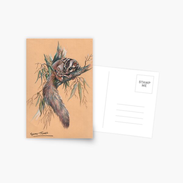 Sugar Glider Postcard