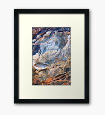 Hard Rock Cafe Framed Print