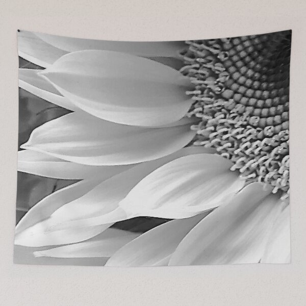 Item preview, Breathtaking Black And White Daisy Floral Fine Art designed and sold by DEC02.