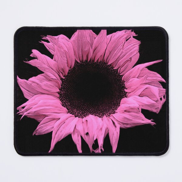 Item preview, Tantalizing Pink Sunflower Art On Chic Black Background designed and sold by DEC02.