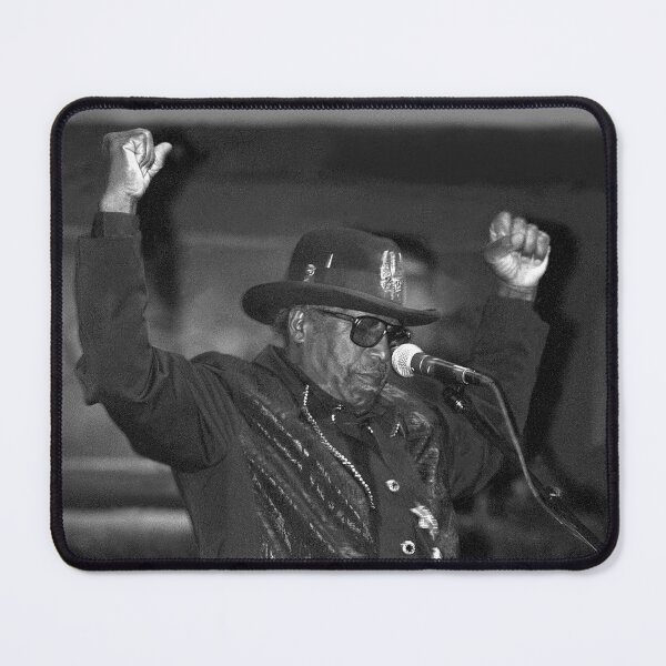 Item preview, Bo Diddley - BW Photograph designed and sold by ConcertImages.