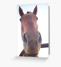 Why The Long Face? Grußkarte