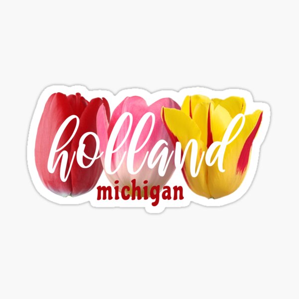 Aperçu de l'œuvre Heure des tulipes Holland Michigan créée et vendue par shelbyeve.