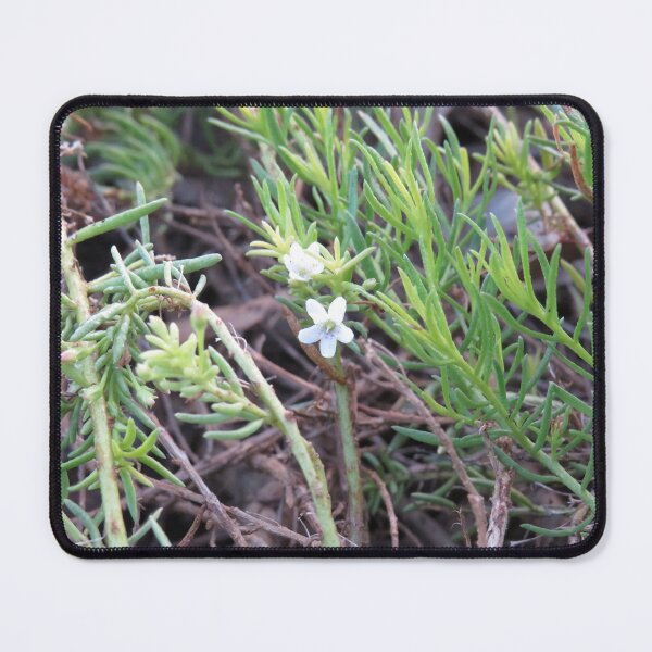 Item preview, Creeping boobialla flowers designed and sold by greentiger1.
