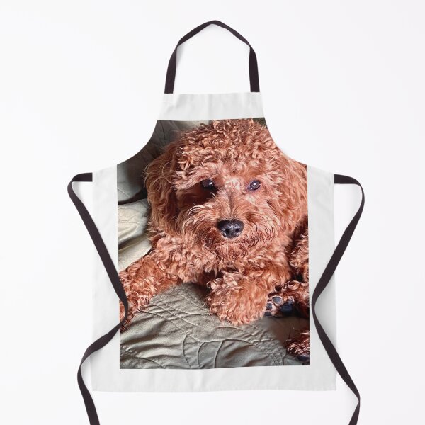 Item preview, Jared designed and sold by BOBBYBABE.