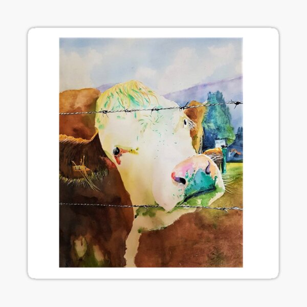 Drought Cow Sticker