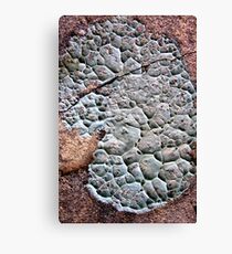 Puttycake Canvas Print