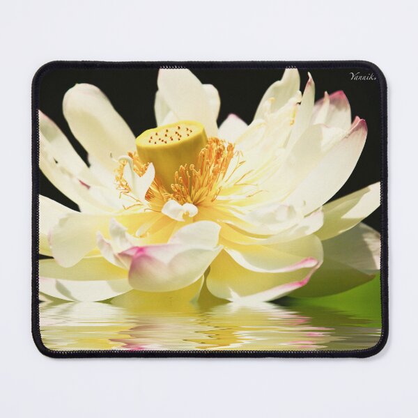Item preview, Lotus in Full Bloom designed and sold by Yannik Hay.