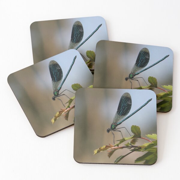 Item preview, Banded demoiselle designed and sold by cuprum.