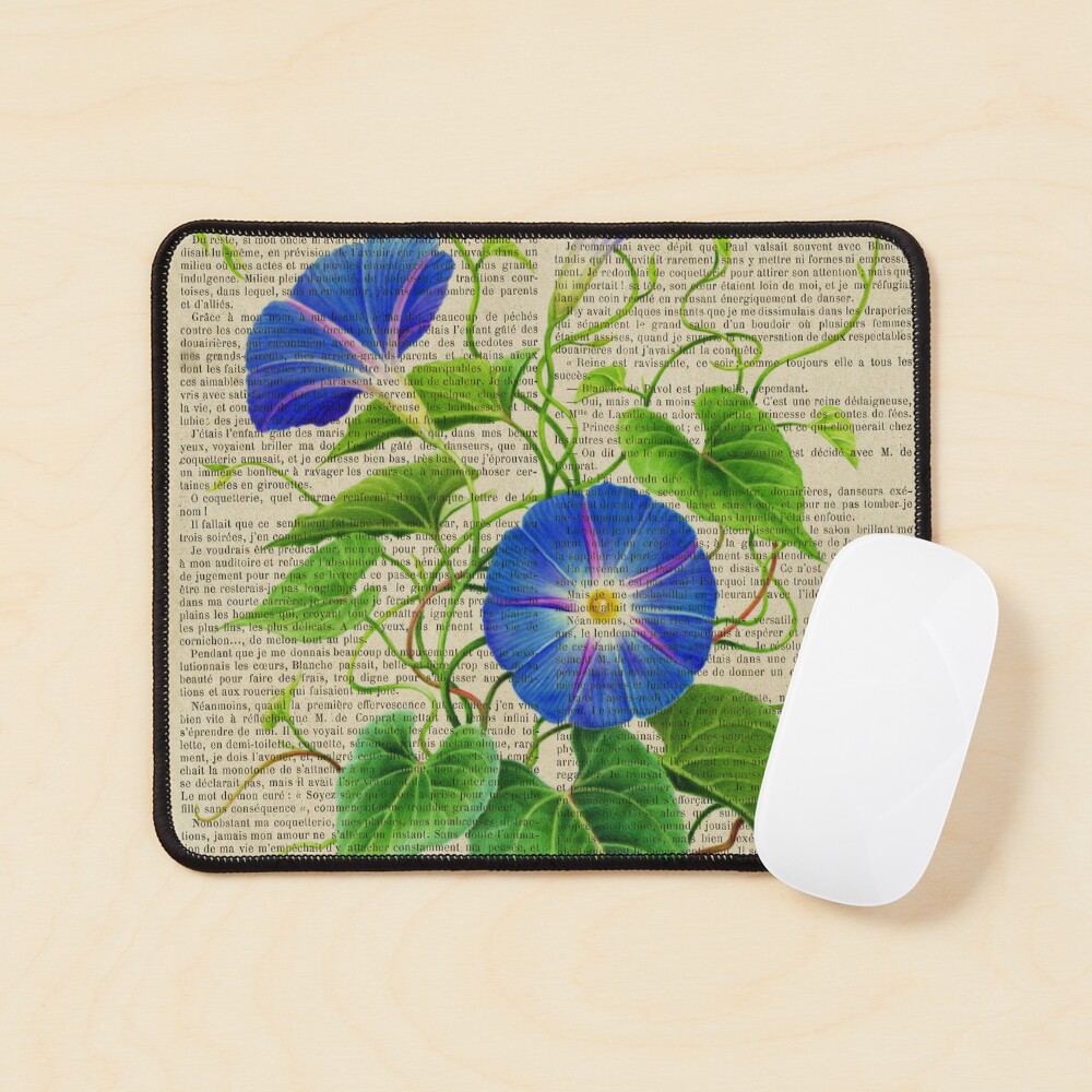 Botanical print, on old book page - Morning Glory