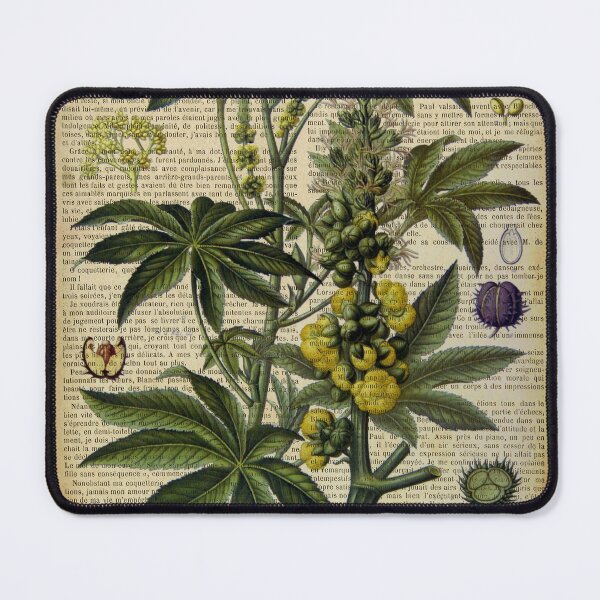 Item preview, Botanical print, on old book page designed and sold by Art by Lilia.