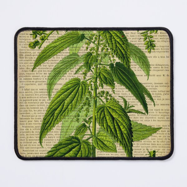 Item preview, Botanical print, on old book page - cannabis designed and sold by Art by Lilia.