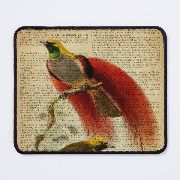 Item preview, vintage print, on old book page - birds of paradise designed and sold by Art by Lilia.