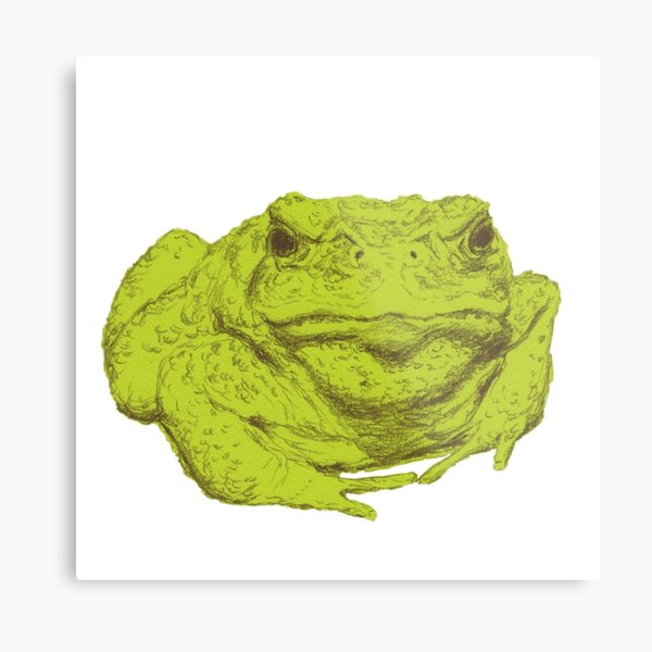 Metal Print