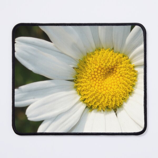 Item preview, Elegant White Daisy Flower Exquisite Close-Up designed and sold by DEC02.