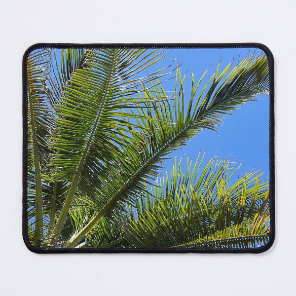 Item preview, Big palm trees or coconut in Florida blue sky designed and sold by tenkenryujin.