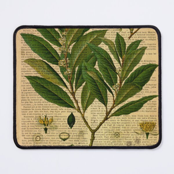 Item preview, Botanical print, on old book page designed and sold by Art by Lilia.