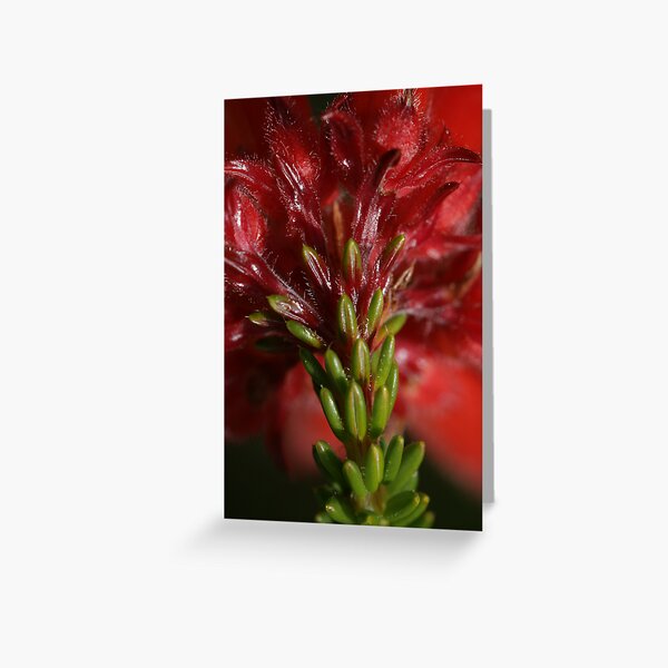 Attack Mode Greeting Card