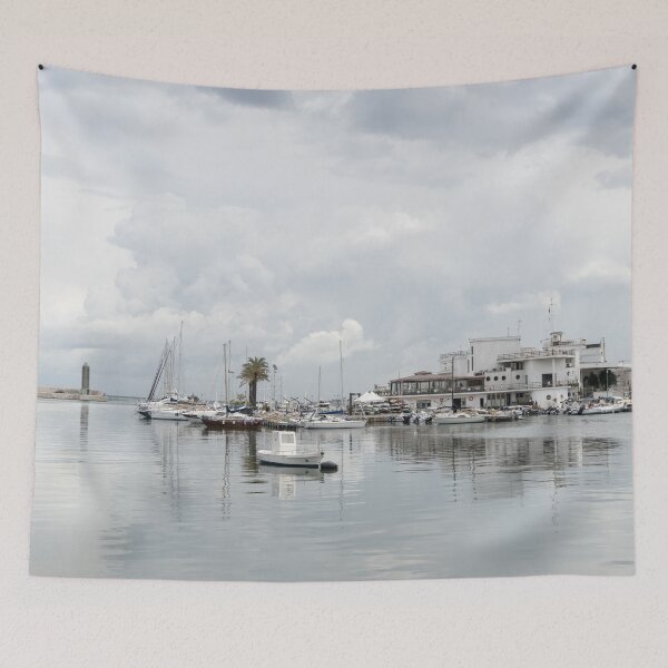 Item preview, Bari Harbor in Pale Pearly Grays designed and sold by Georgia Mizuleva.