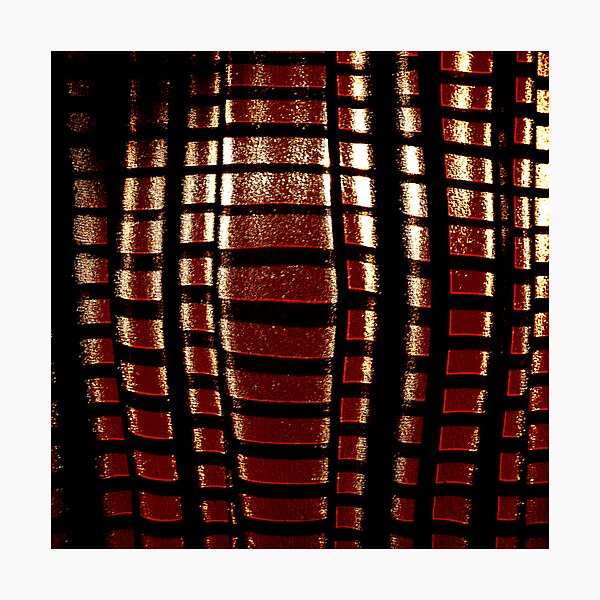 red cage for steven Photographic Print