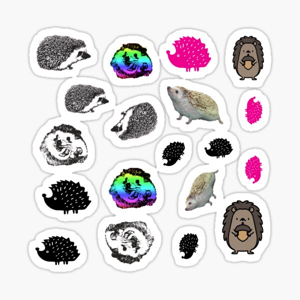 Cute Hedgehog Stickers Variety Pack Sticker