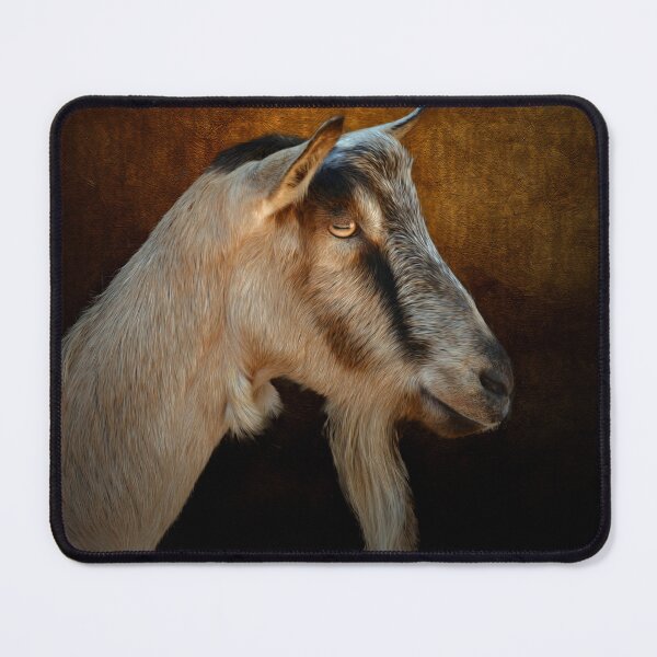 Item preview, GOAT designed and sold by Savannah Gibbs.