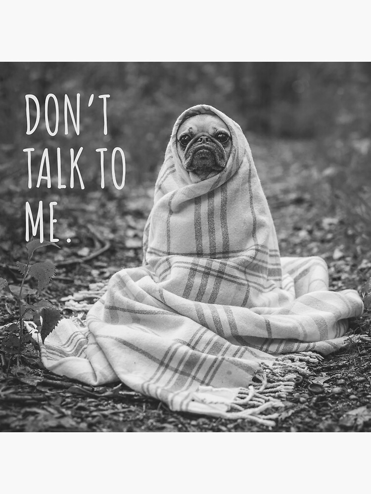 don-t-talk-to-me-dog-meme-poster-for-sale-by-sevillaanimals-redbubble