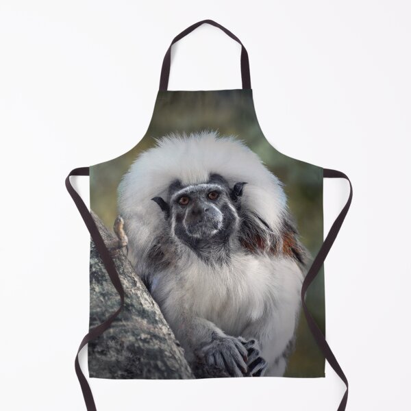 Item preview, Tamarin designed and sold by Savannah Gibbs.