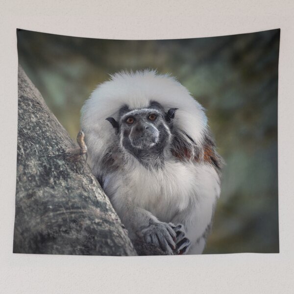 Item preview, Tamarin designed and sold by Savannah Gibbs.