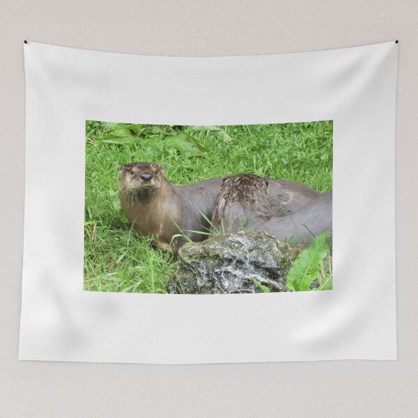 Item preview, North American River Otters designed and sold by lezvee.