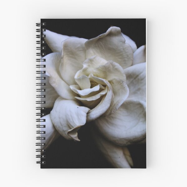 Item preview, In Full Bloom designed and sold by Evita.
