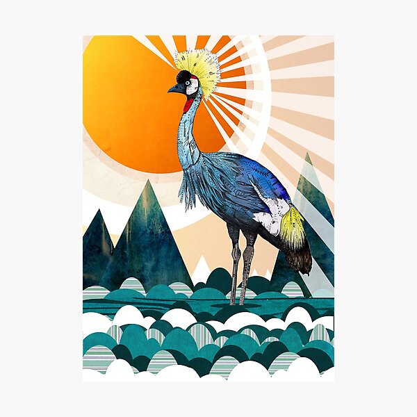 Crowned Crane Photographic Print