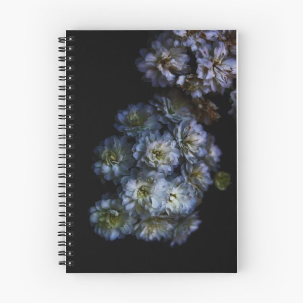 Item preview, Fading designed and sold by Evita.