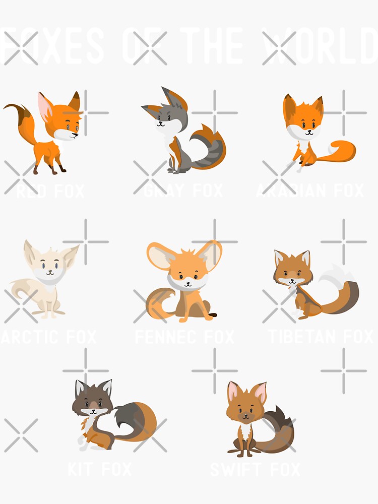 Foxes of The World Cute Fox Lover Animals Educational  Sticker for Sale by  alenaz