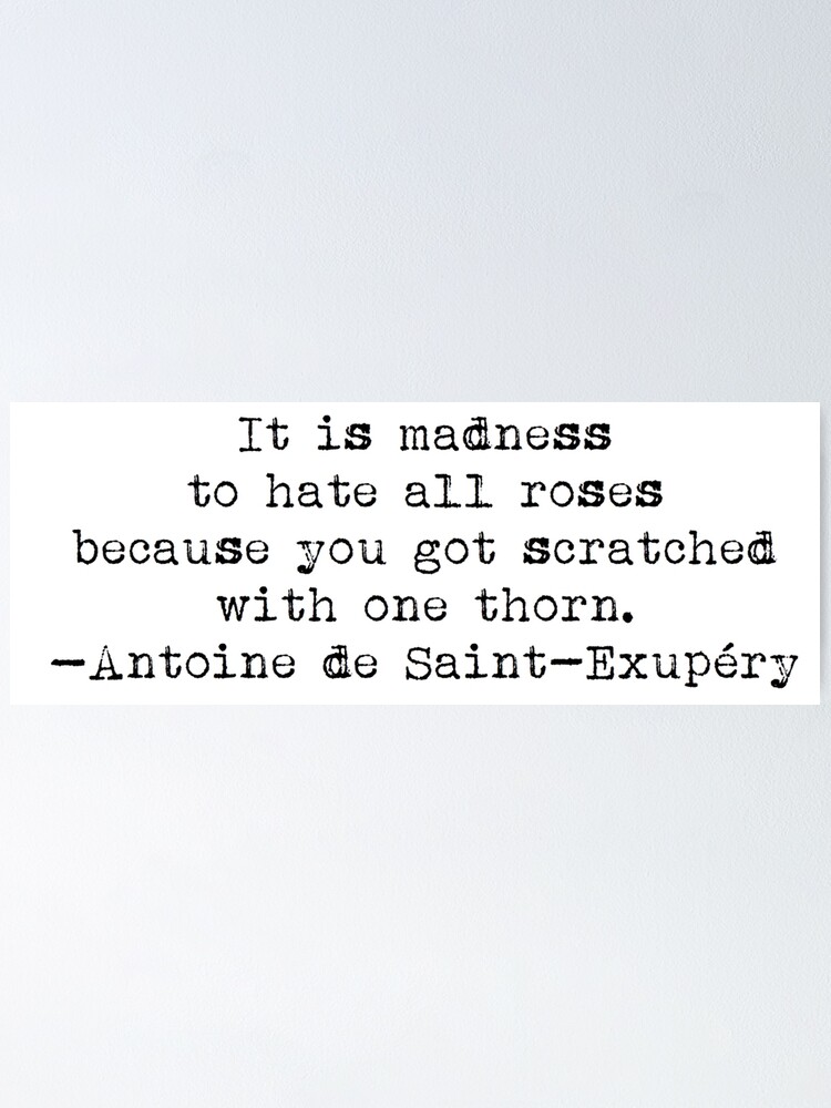 Poster C Est De La Folie De Detester Toutes Les Roses Parce Que Vous Vous Etes Gratte Avec Une Epine Antoine De Saint Exupery Par Typedbookquotes Redbubble