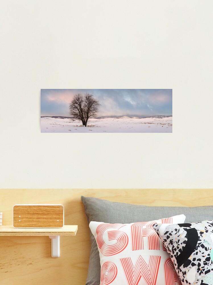 Thumbnail 2 of 3, Photographic Print, Lone Tree, Kiandra, Kosciuszko National Park, New South Wales, Australia designed and sold by Chockstone.