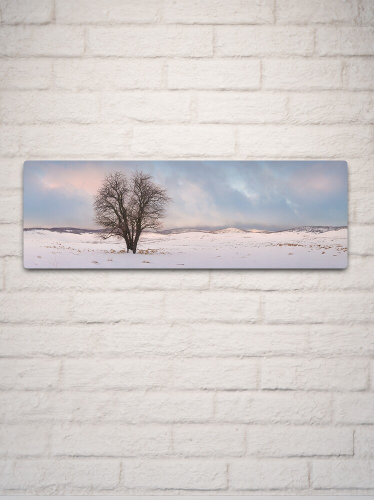 Thumbnail 2 of 4, Metal Print, Lone Tree, Kiandra, Kosciuszko National Park, New South Wales, Australia designed and sold by Chockstone.
