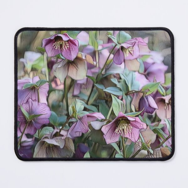 Item preview, Hellebore at Lismore Castle in County Waterford, Ireland designed and sold by nigellacottage.