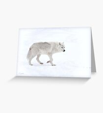 White Wolf : Nothing else matters Greeting Card