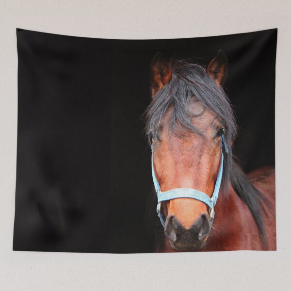 Item preview, Mustang  designed and sold by griffingphoto.
