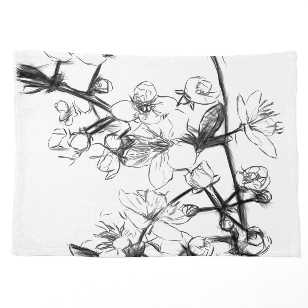 cherry blossom sketch black and white