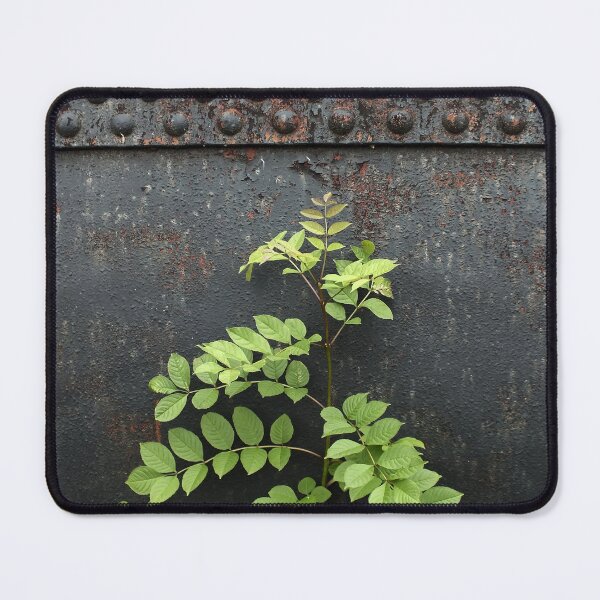 Item preview, Foliation and Degradation designed and sold by Yampimon.