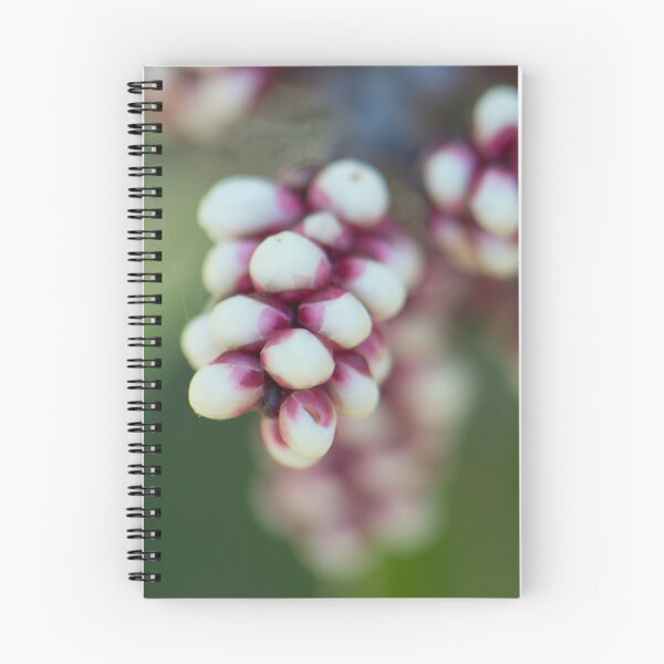 Item preview, Sugarbush designed and sold by Jill Richardson.
