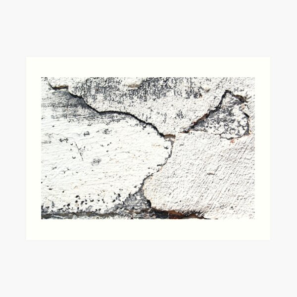 Weather or Not Art Print
