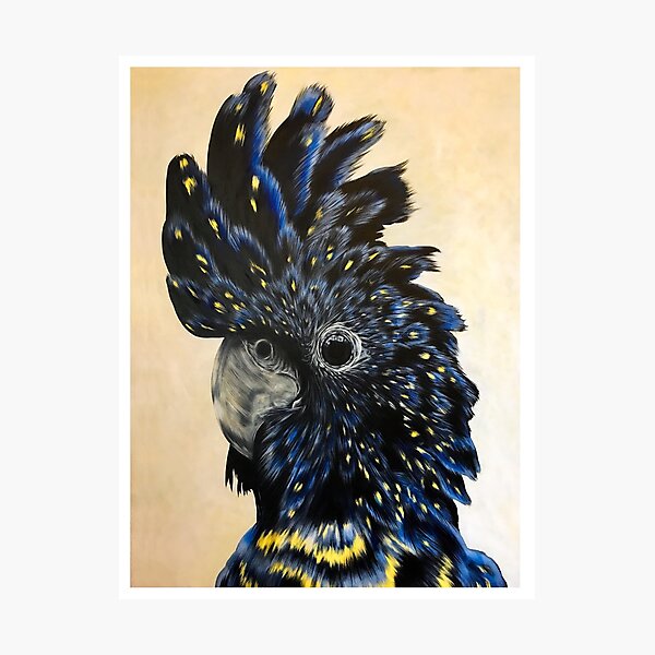 Black Cockatoo Portrait Photographic Print