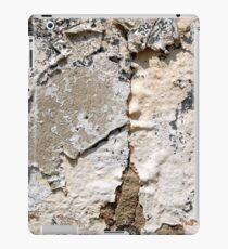 Split Personality iPad Case/Skin