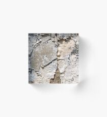 Split Personality Acrylic Block